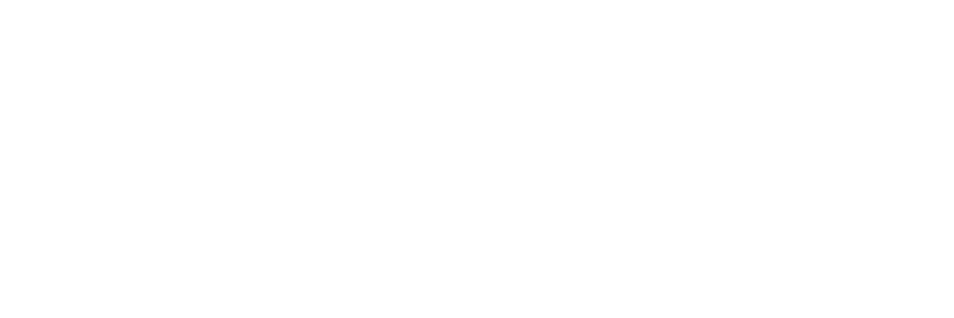 POS Booster