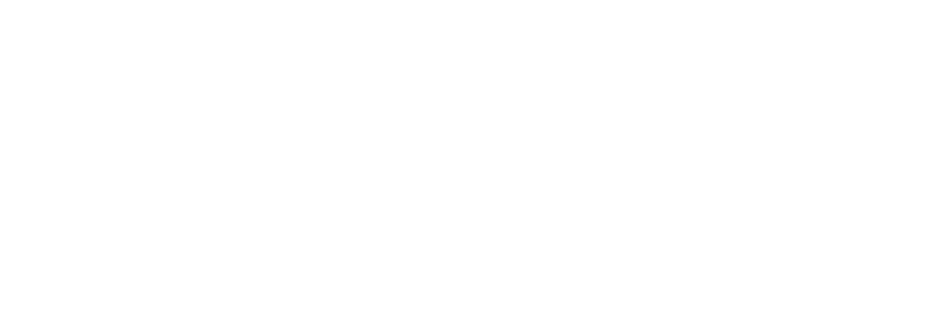 POS Booster